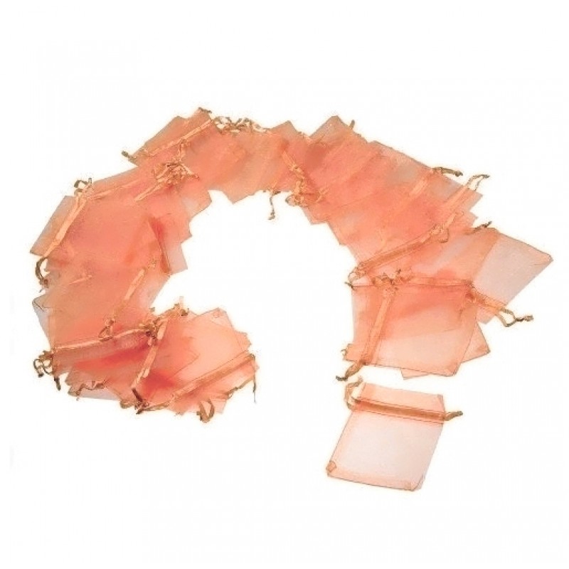 Πουγκί Ρυζιού 5x7,5εκ. (100τμχ.) 07301 Σομόν