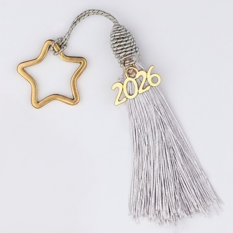 Χριστουγεννιάτικο Κρεμαστό Ασημί Γούρι 0331.25010-2