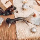 Χριστουγεννιάτικο Διακοσμητικό Κέρατο Ταράνδου (28x12εκ) 791330|Sale -40%