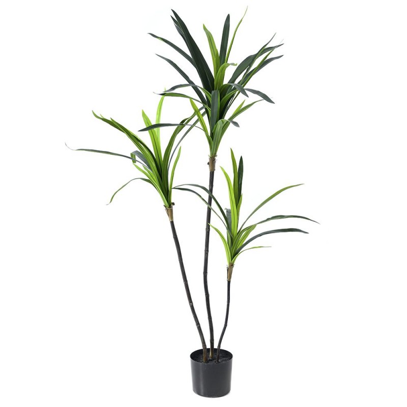 Τεχνητό Δέντρο Δράκαινα (150εκ.) Σε Μαύρη Πλαστική Γλάστρα 77032