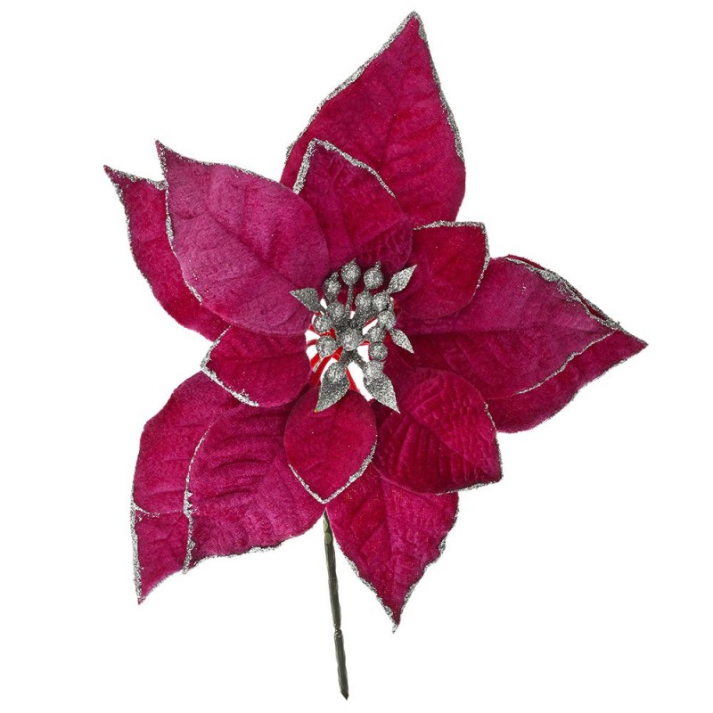 Δαμασκηνί Αλεξανδρινό Πικ - Σετ 6τμχ. (25εκ.) 79086