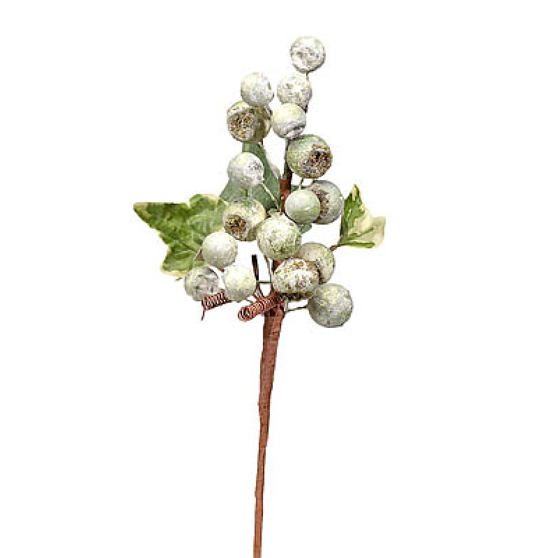 Κλαδί Με Καρπούς 25463