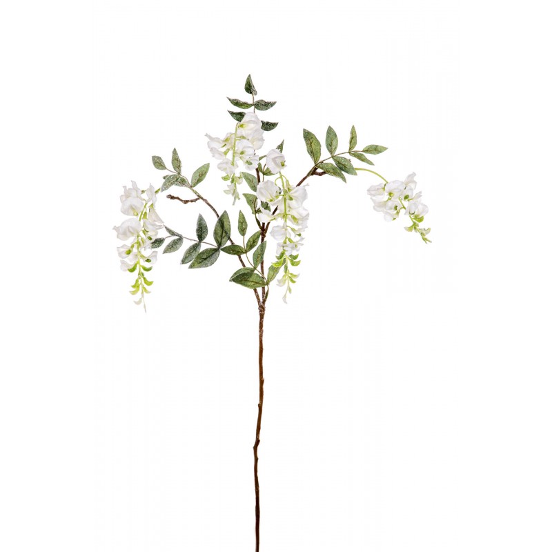 Κλαδί Βιστέρια Χιονισμένη 8448133